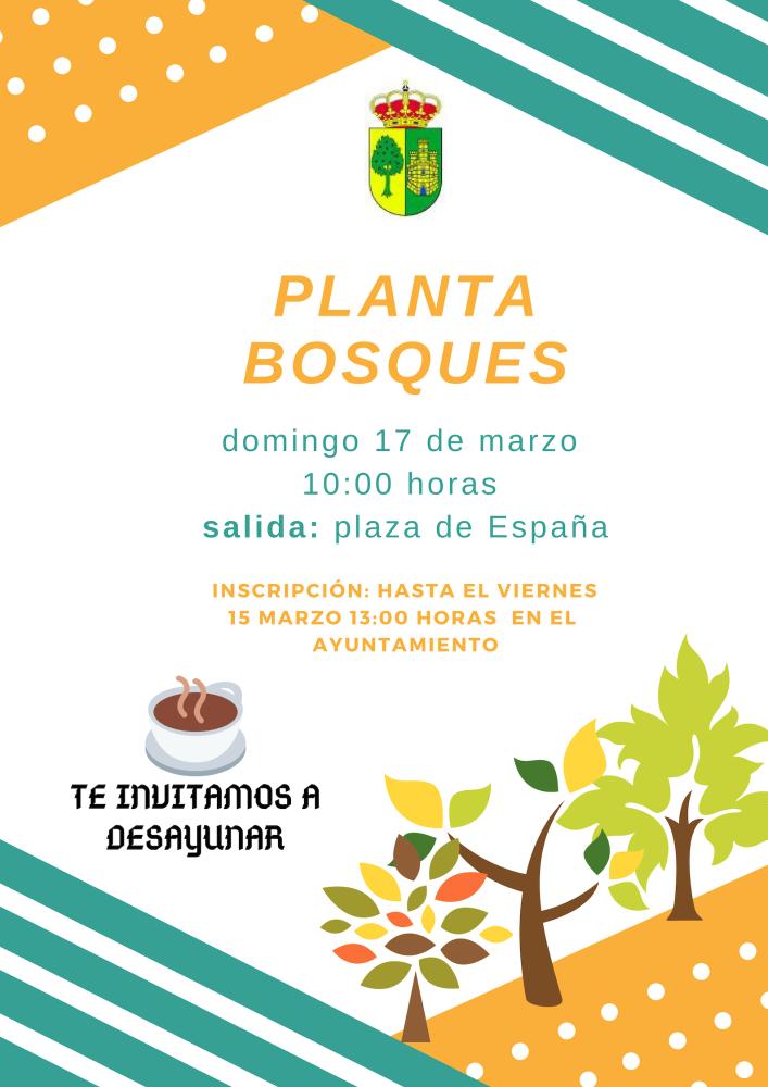 Imagen Planta Bosques 2019