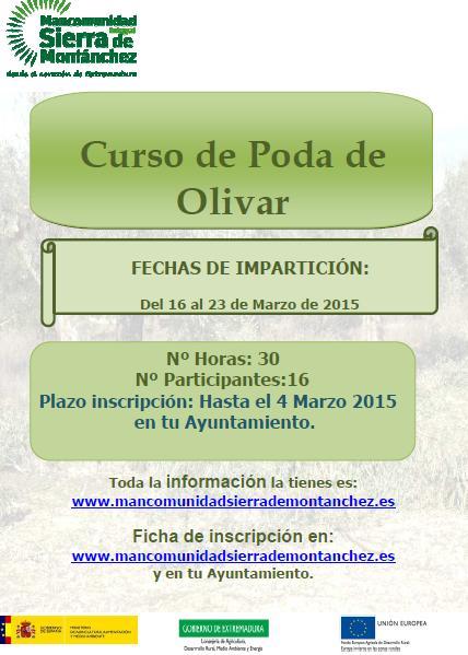 Imagen Curso poda Olivar